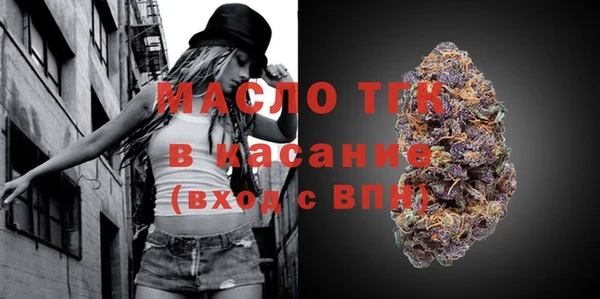 твердый Вяземский